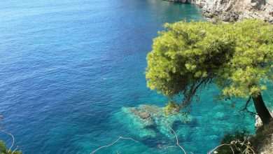 adriatic-Pixabay.com