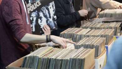 Fair of lovers of vinyl records and comic books