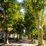astrobobo