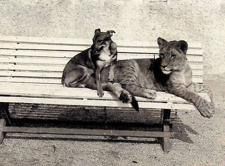 Photo: Zagreb Zoo archives