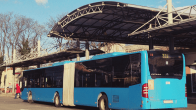 bus