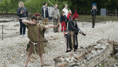 andautonija scitarjevo