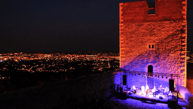 medvedgrad music evening